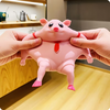 Cute Squishy Piggy